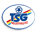 Logo Neustrelitz